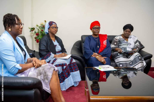 Assemblée nationale : Échanges fructueux entre le Caucus des femmes parlementaires et la Directrice-Pays de l’ONU-Sida