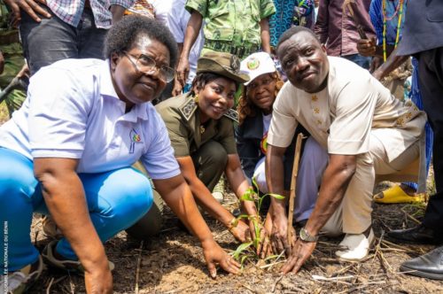 Edition 2026 de la Journée nationale de l’arbre : L’Honorable Denise DEGBEDJI et les femmes fonctionnaires parlementaires mettent en terre des plants à bonou